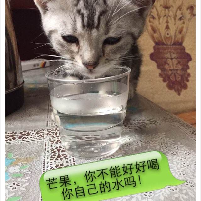 直招士官要求学位证吗
